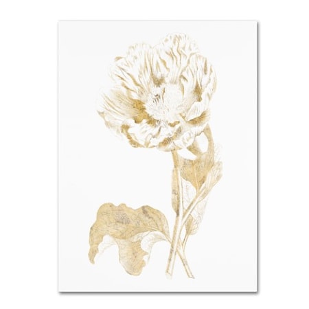 Wild Apple Portfolio 'Gilded Botanical VII' Canvas Art,18x24